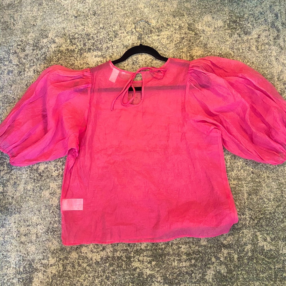 H&M Puffer Sleeve Translucent Blouse